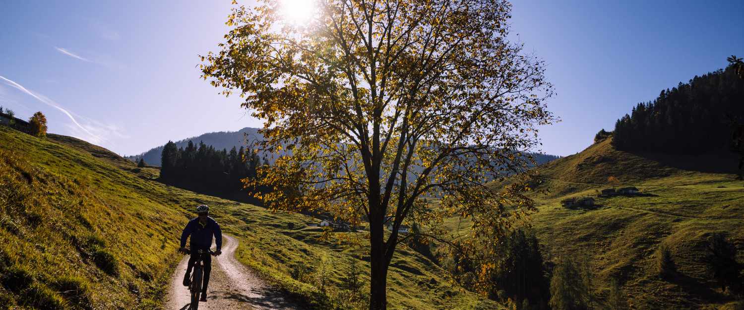 Radfahrer im Herbst